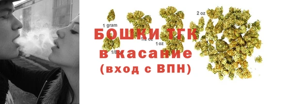 дурь Гусиноозёрск