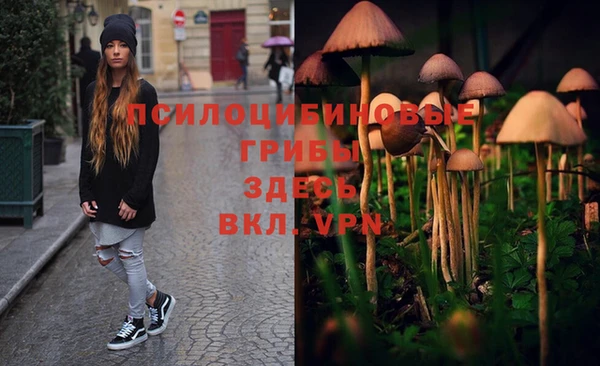 дурь Гусиноозёрск