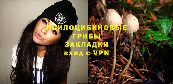 а пвп мука Надым