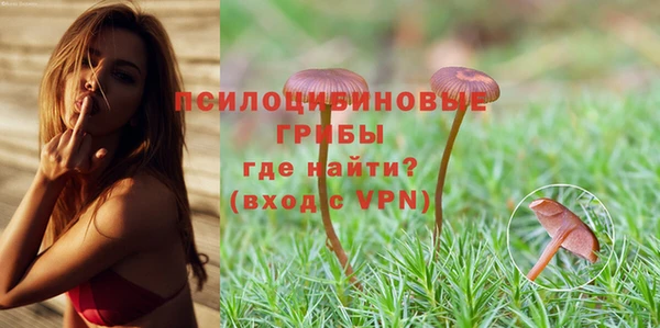 молекула духа Навашино